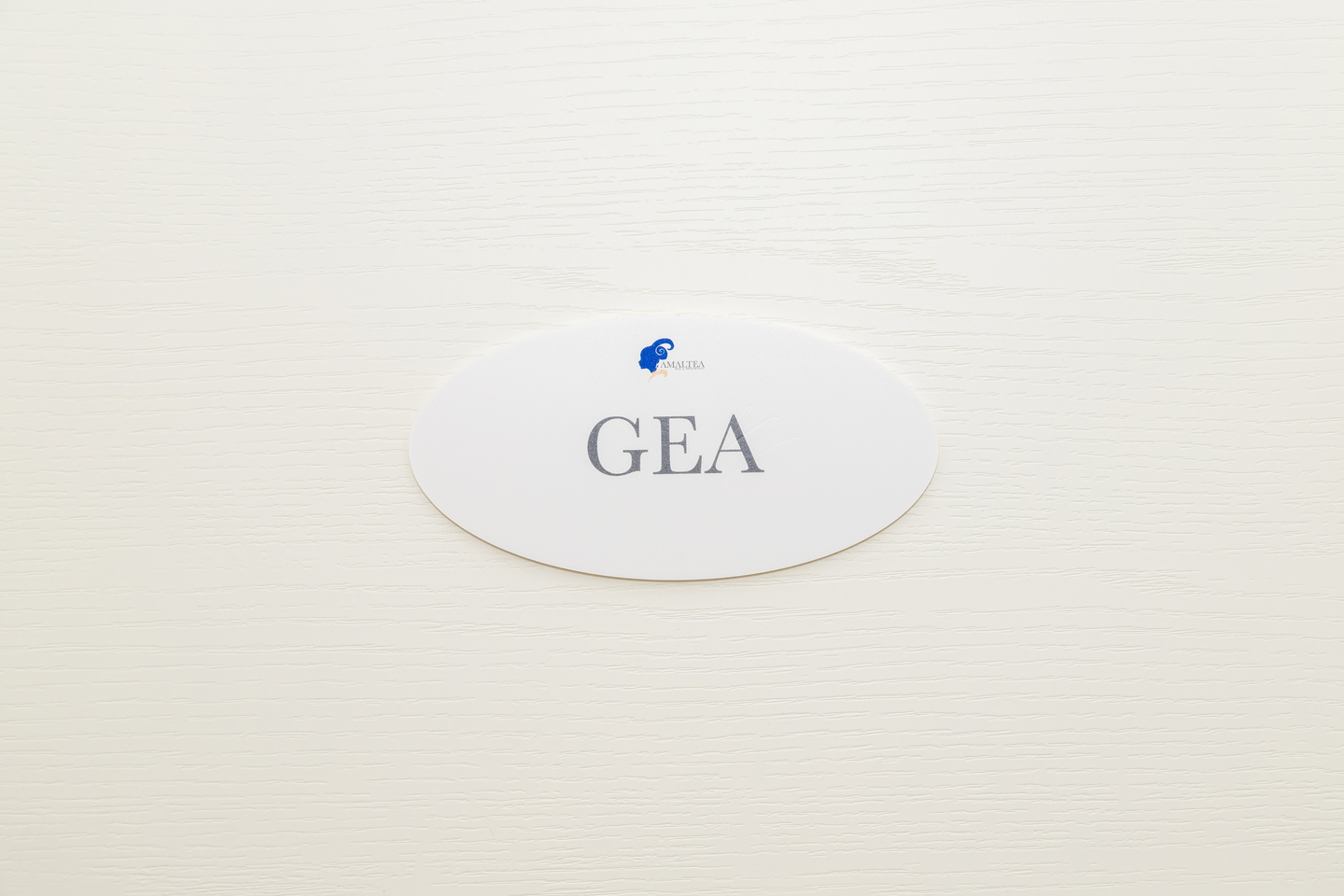 camera gea